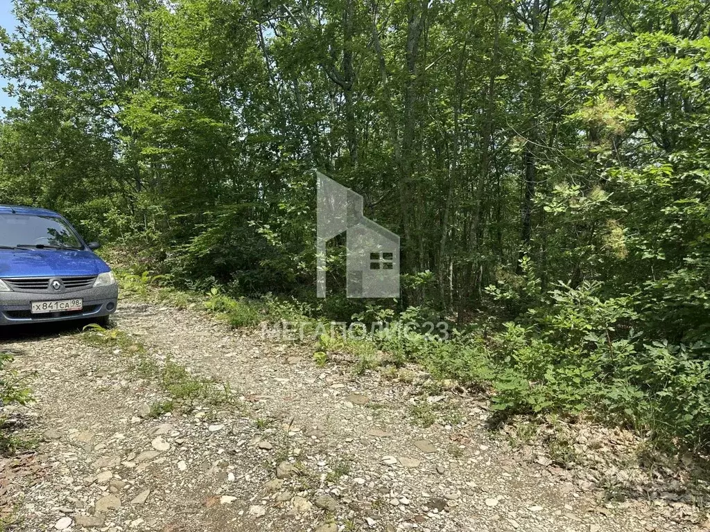 Участок в Краснодарский край, Геленджик городской округ, с. ... - Фото 0