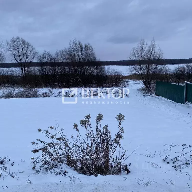 Участок в Ярославская область, Некрасовский муниципальный округ, д. ... - Фото 1