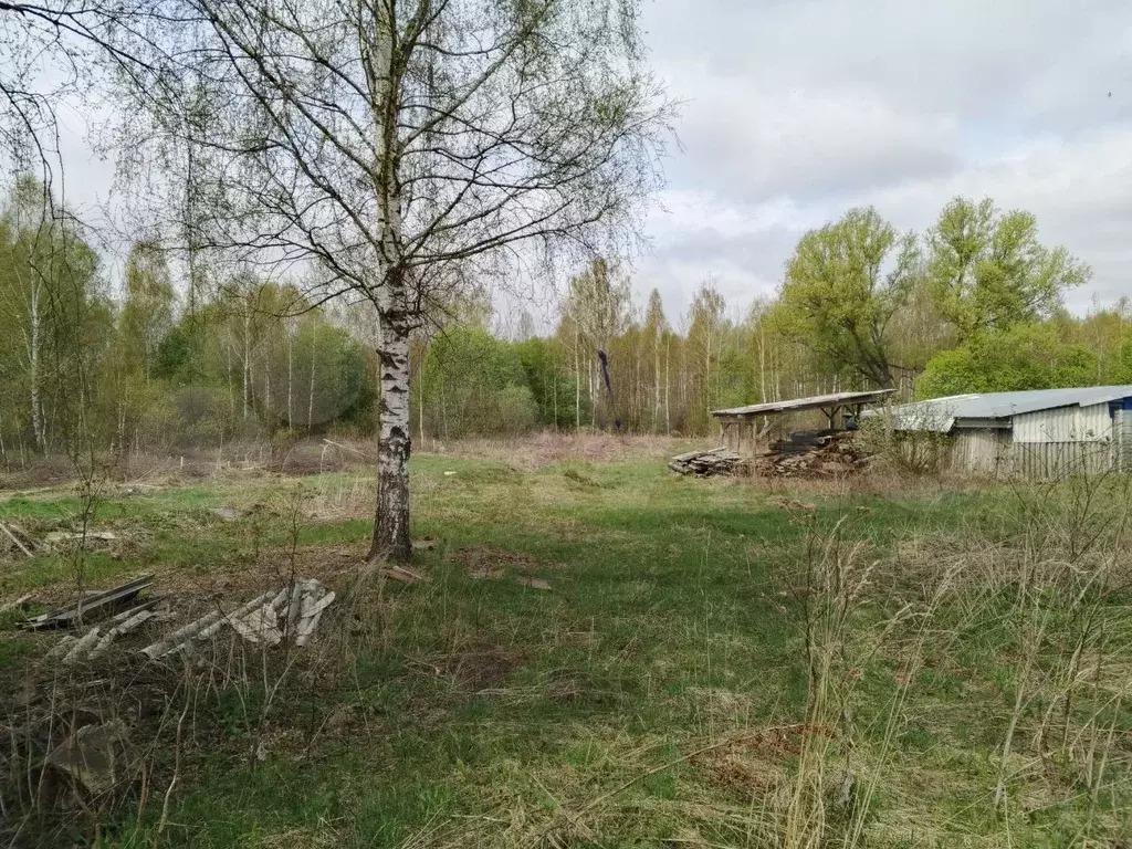 Участок 6,7 сот. (ИЖС) - Фото 0