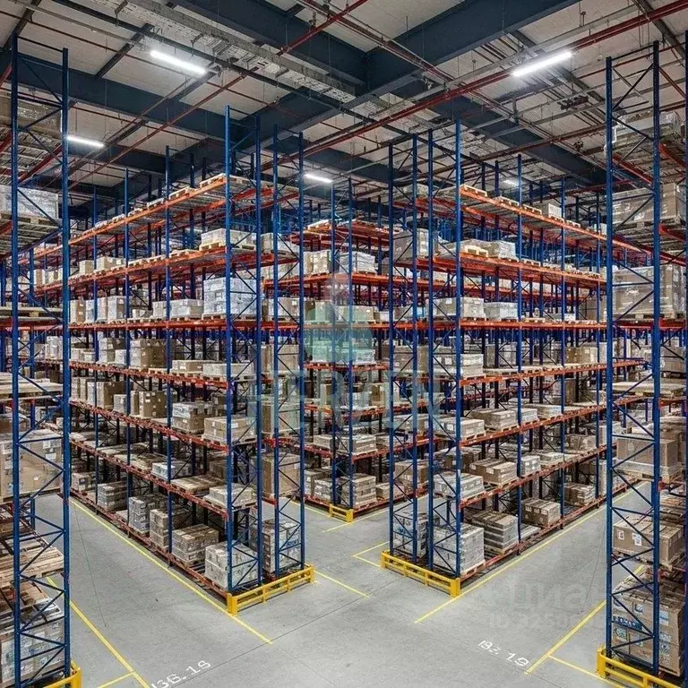 Склад в Московская область, Солнечногорск городской округ, д. ... - Фото 2