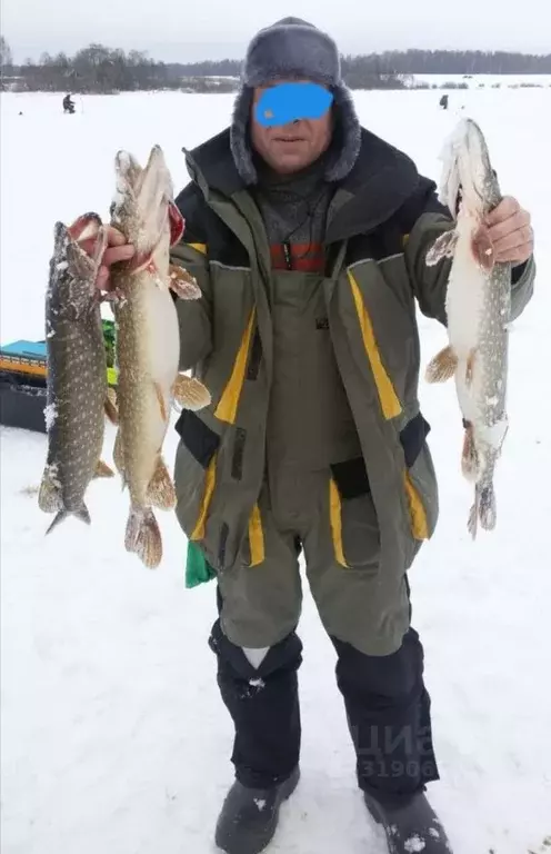 Дом в Московская область, Рузский муниципальный округ, д. Оселье  (56 ... - Фото 1