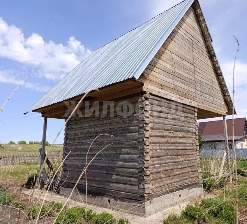 Участок в Новосибирская область, Ордынский район, с. Вагайцево Новая ... - Фото 2
