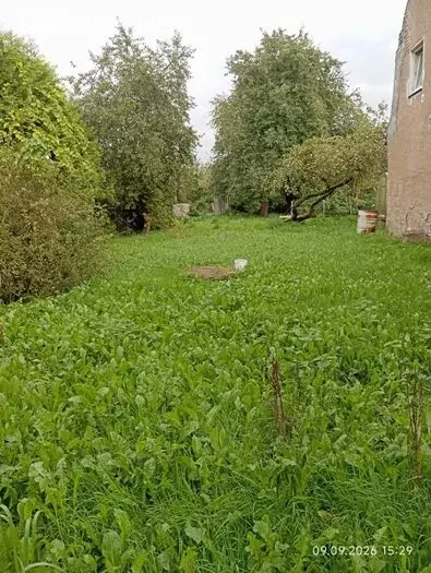 Участок в Калининград, Волоколамская улица, 18 (8.62 м) - Фото 2