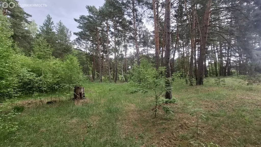 Участок в Московская область, городской округ Ступино, село Лужники ... - Фото 1