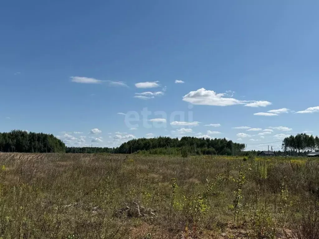 Участок в Ярославская область, Ярославский муниципальный округ, д. ... - Фото 1