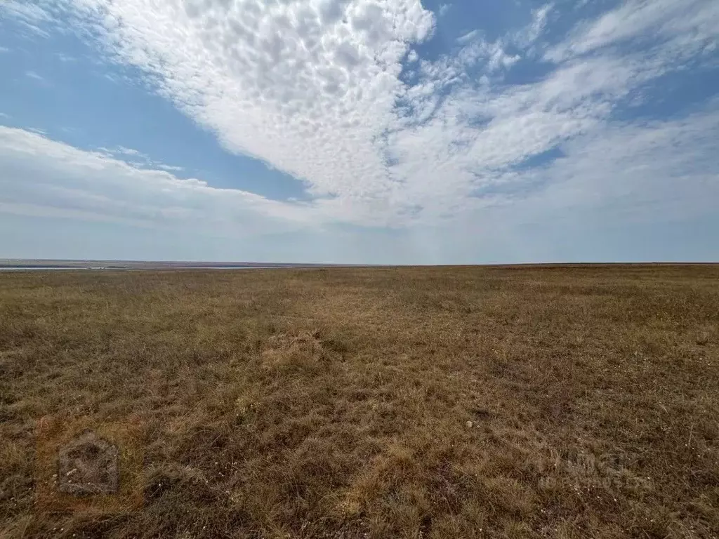 Участок в Крым, Черноморский район, с. Новоивановка  (800.0 сот.) - Фото 1