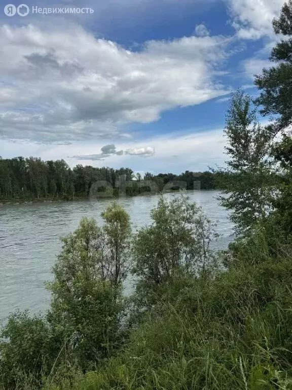 Участок в Майминский район, село Подгорное, Школьная улица (15.3 м) - Фото 1