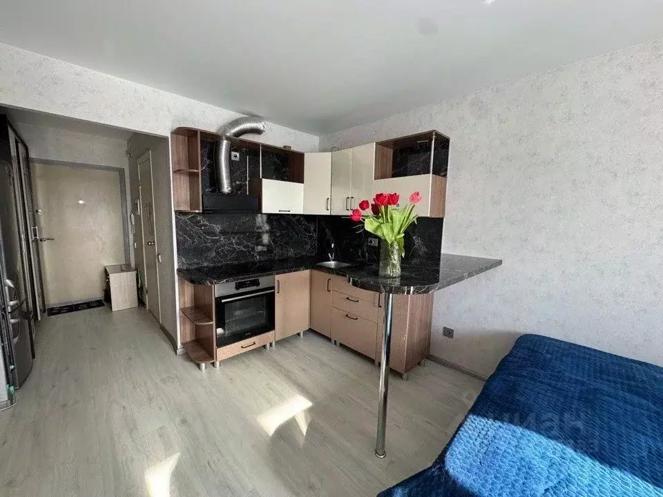 Студия Свердловская область, Екатеринбург муниципальное образование, ... - Фото 1