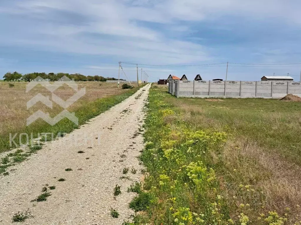 Участок в Крым, Черноморский район, Окуневское с/пос, с. Знаменское ... - Фото 2