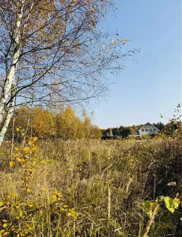 Продается участок в КП Зеленая Опушка-2 - Фото 1