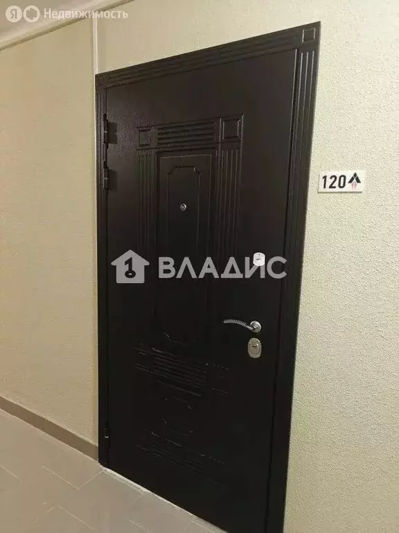 Квартира-студия: посёлок Шушары, Московское шоссе, 262к1 (23 м) - Фото 1