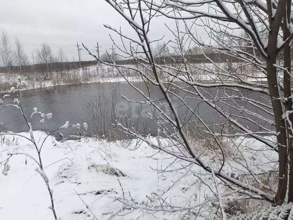 Дом в Нижегородская область, Арзамас городской округ, с. Криуша ул. ... - Фото 0