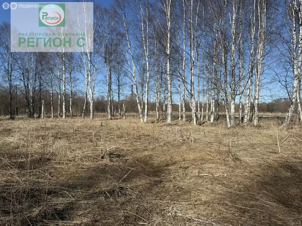 Участок в Архангельск, микрорайон Южная Маймакса, Маймаксанская улица, ... - Фото 1
