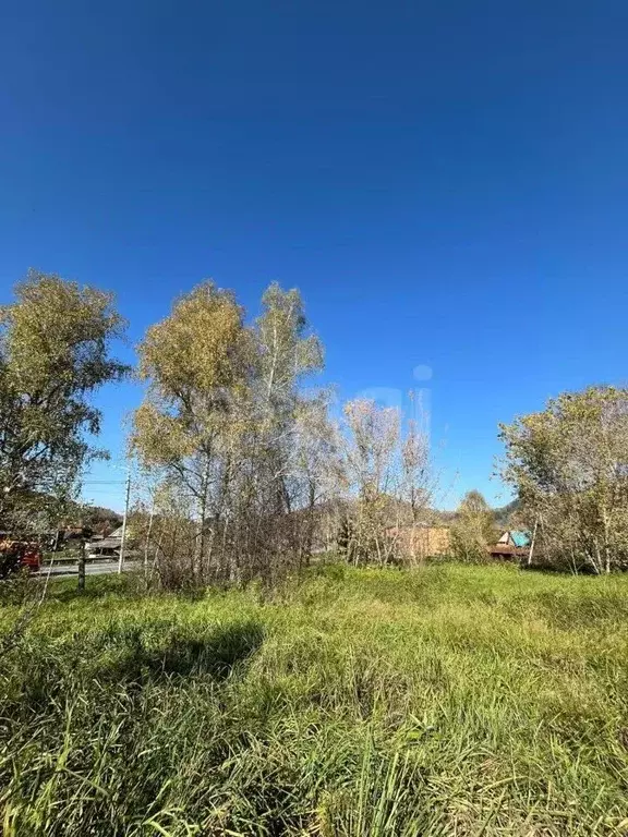 Участок в Алтай, Майминский район, с. Соузга Трактовая ул., 33 (12.0 ... - Фото 1