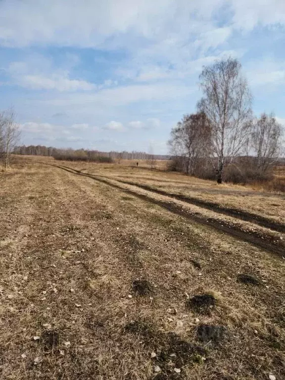 Участок в Челябинская область, Аргаяшский район, д. Тугузбаева  (6.3 ... - Фото 0