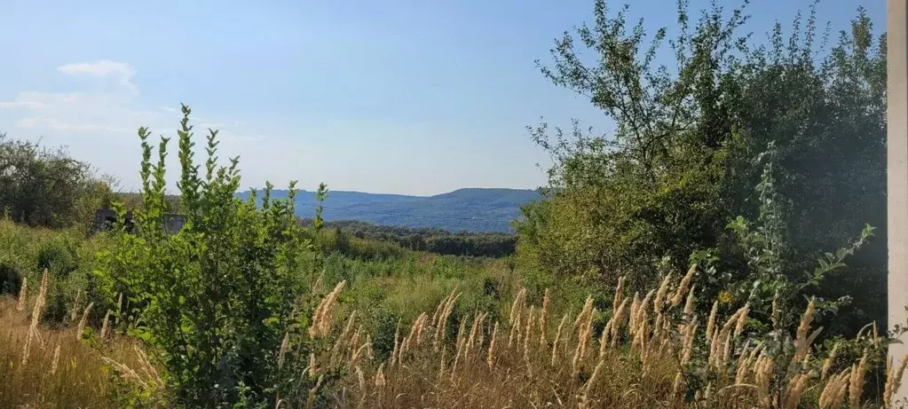 Участок в Краснодарский край, Северский район, Азовское с/пос, ... - Фото 2