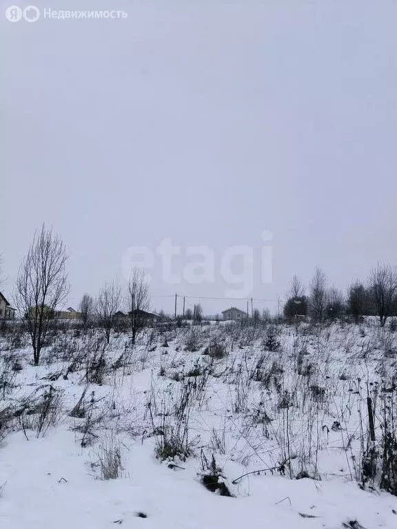 Участок в Вологодский муниципальный округ, село Первомайское (12 м) - Фото 1