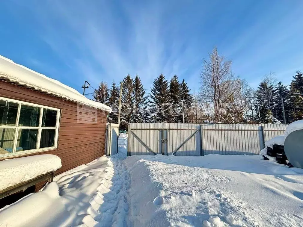 Участок в Амурская область, Белогорск Хвойная ул., 8А (10.0 сот.) - Фото 1