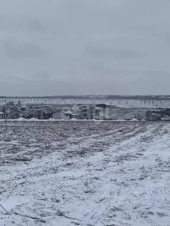 Участок в Белгородская область, Белгородский район, Головинское с/пос, ... - Фото 0