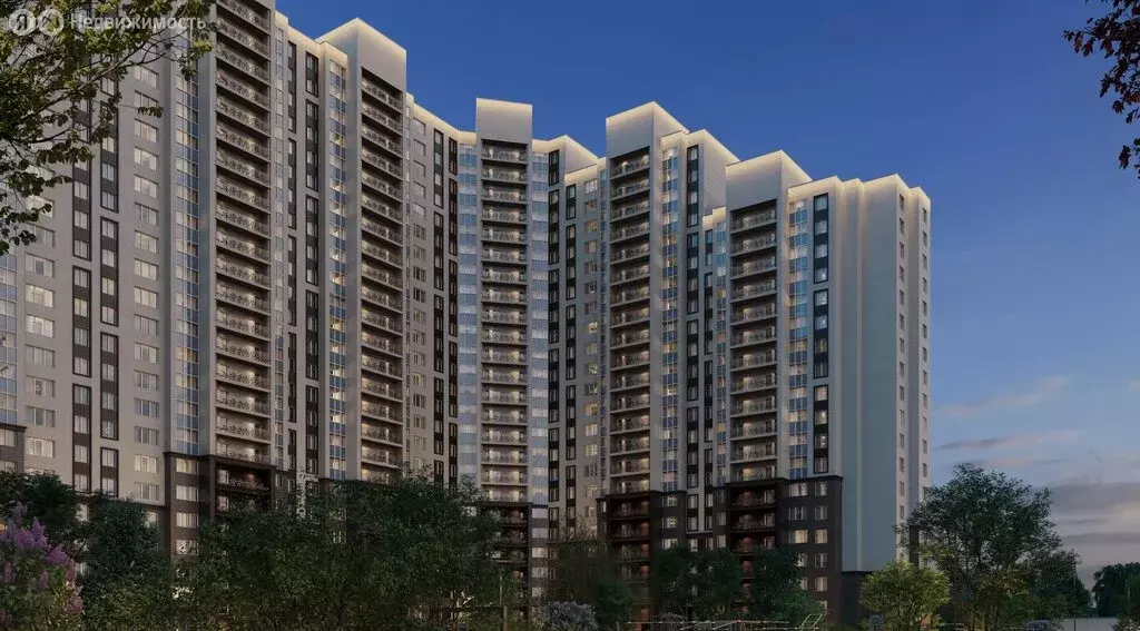 Квартира-студия: Котельники, микрорайон Новые Котельники, 11 (21 м) - Фото 2