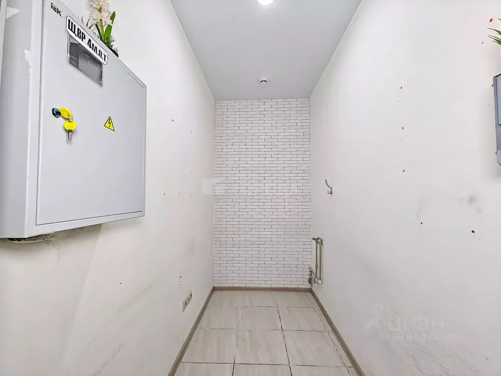 Помещение свободного назначения в Новосибирская область, Новосибирск ... - Фото 1