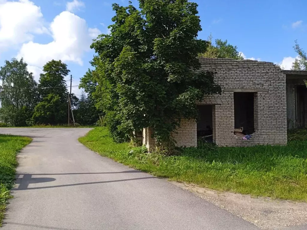 Участок в Ленинградская область, Ломоносовский район, Лопухинское ... - Фото 1