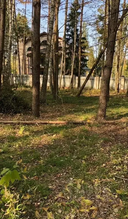 Участок в Московская область, Чехов муниципальный округ, д. Прохорово  ... - Фото 2