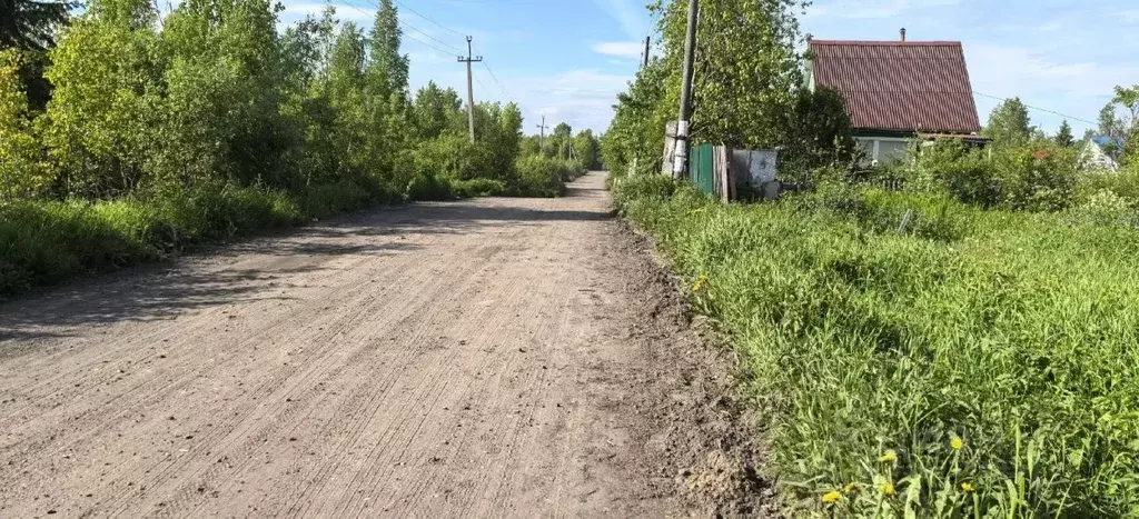 Участок в Архангельская область, Приморский муниципальный округ, Исток ... - Фото 1