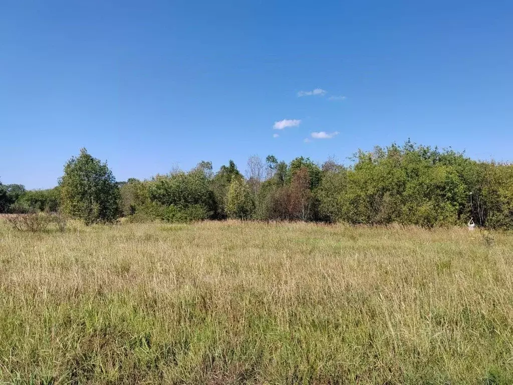 Участок в Вологодская область, с. Кубенское  (15.0 сот.) - Фото 1