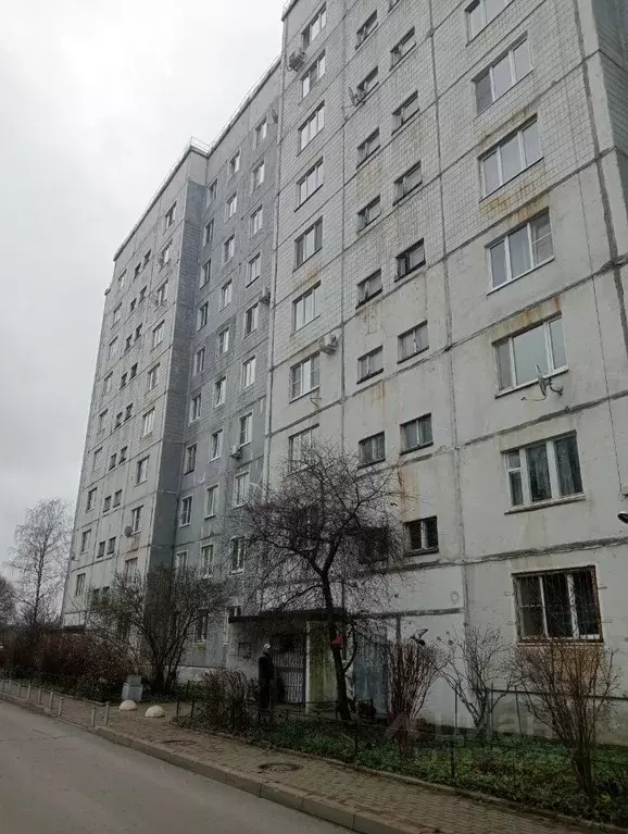 2-к кв. Ленинградская область, Всеволожский район, д. Новое Девяткино ... - Фото 2