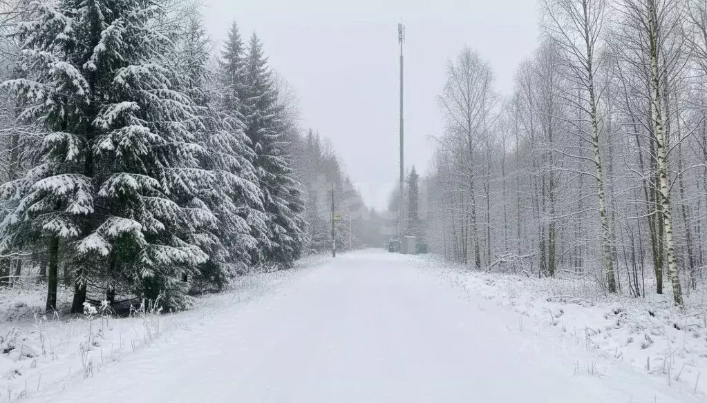 Участок в Тверская область, Кимрский муниципальный округ, Сатурн-2 ... - Фото 1