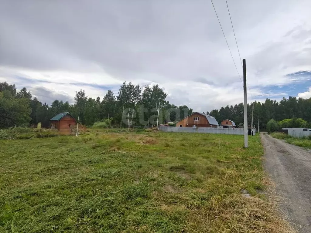 Участок в Новосибирская область, Новосибирский район, Станционный ... - Фото 0