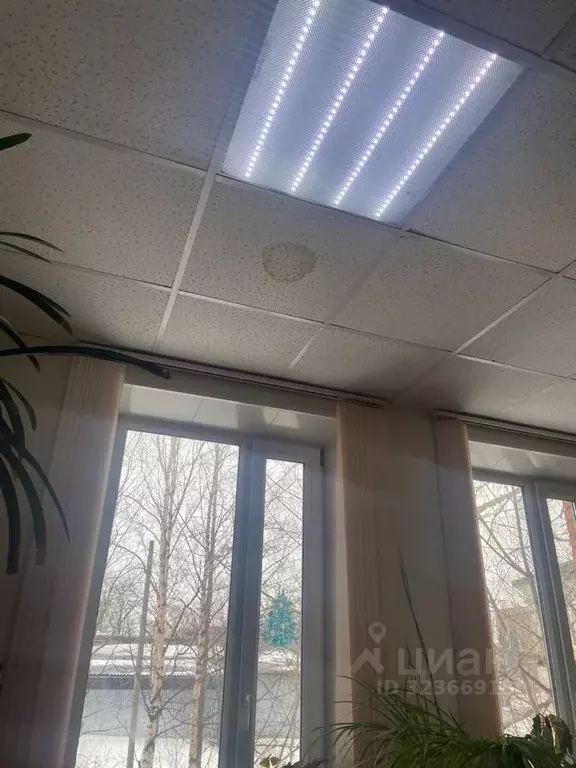 Помещение свободного назначения в Карелия, Кемь ул. Бланки, 12 (35 м) - Фото 1