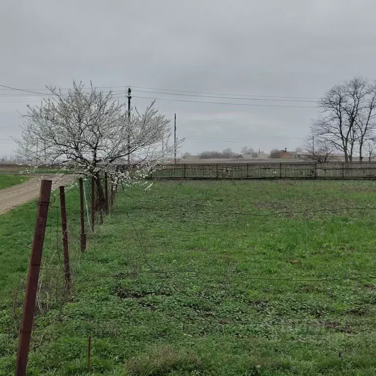 Участок в Краснодарский край, Щербиновский район, Ейскоукрепленское ... - Фото 1