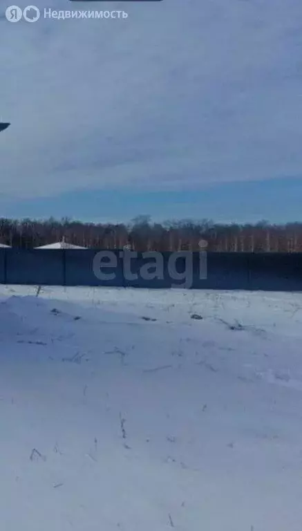 Участок в Тульская область, городской округ Алексин, деревня Глебово ... - Фото 2