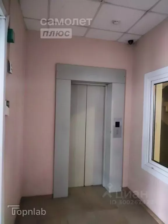 Торговая площадь в Алтайский край, Барнаул проезд Канифольный, 15 (508 ... - Фото 2