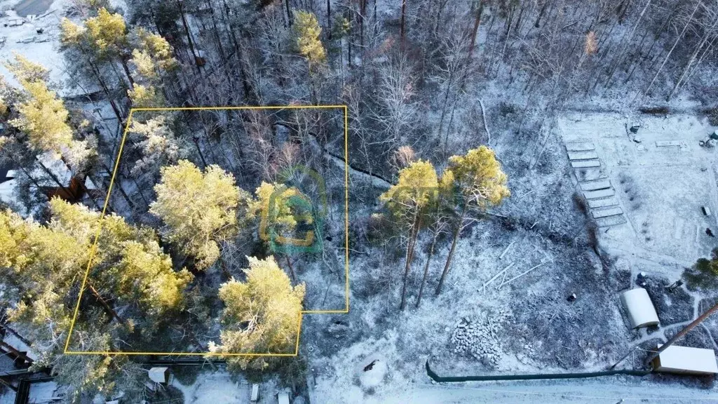 Участок в Ленинградская область, Приозерский район, Ромашкинское ... - Фото 1