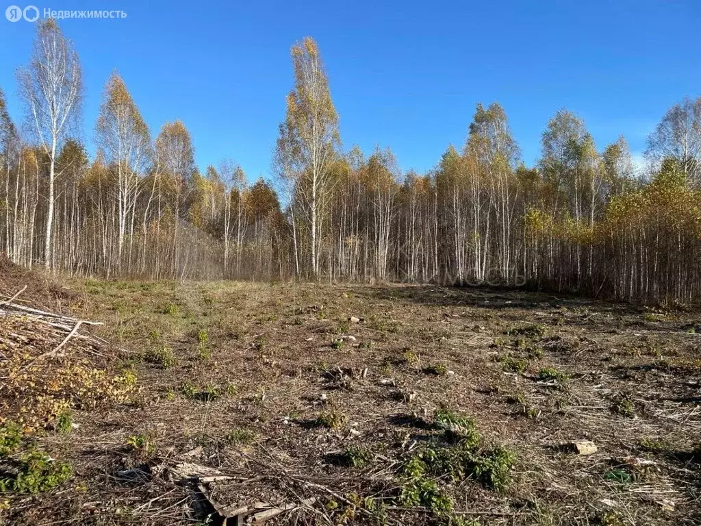 Участок в Нижнетавдинский район, садовое товарищество Моторостроитель, ... - Фото 0