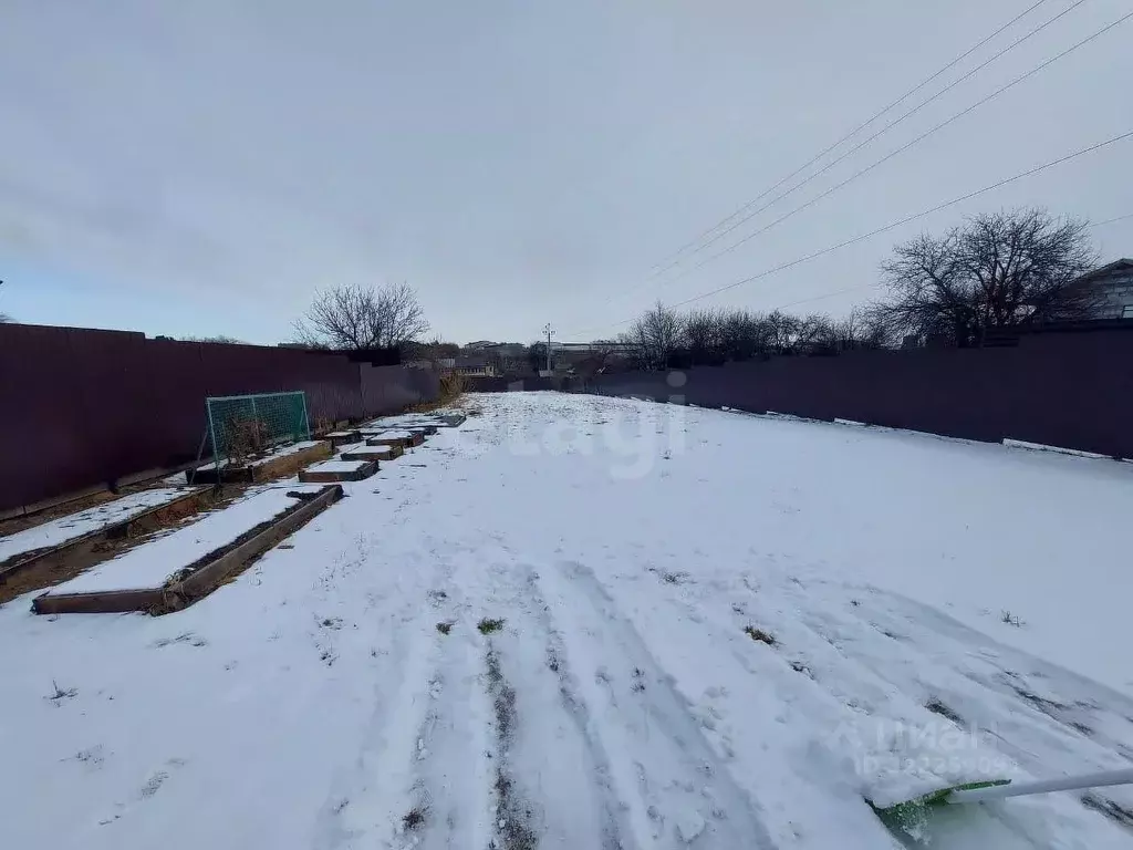 Участок в Амурская область, Благовещенск Ремонтник СТ,  (12.59 сот.) - Фото 1