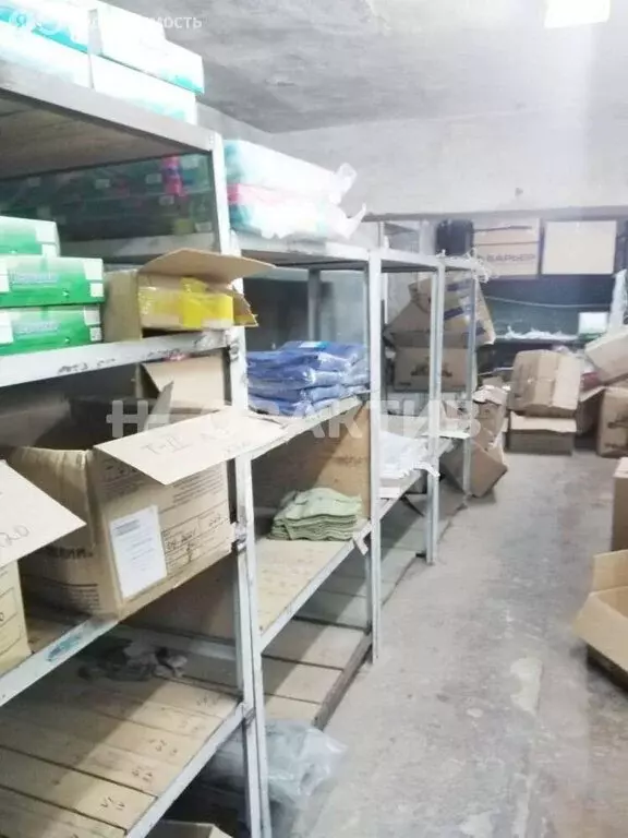 Помещение свободного назначения (143 м) - Фото 2