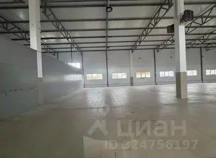 Склад в Ленинградская область, Отрадное Кировский район, Ленинградское ... - Фото 1