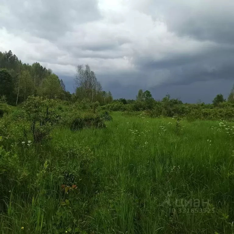 Участок в Московская область, Клин  (2.9 га.) - Фото 1