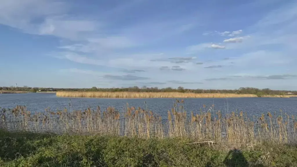 Участок в Краснодарский край, Тимашевский район, Дербентское с/пос, ... - Фото 1