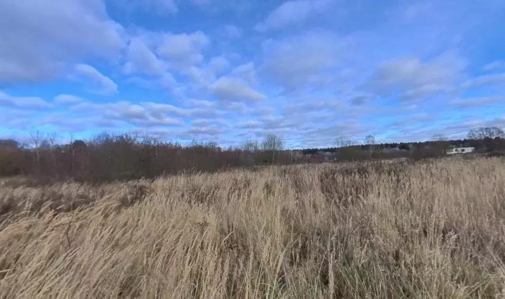 Участок в Москва д. Кузнецово, ул. Березовая (14.19 сот.) - Фото 2