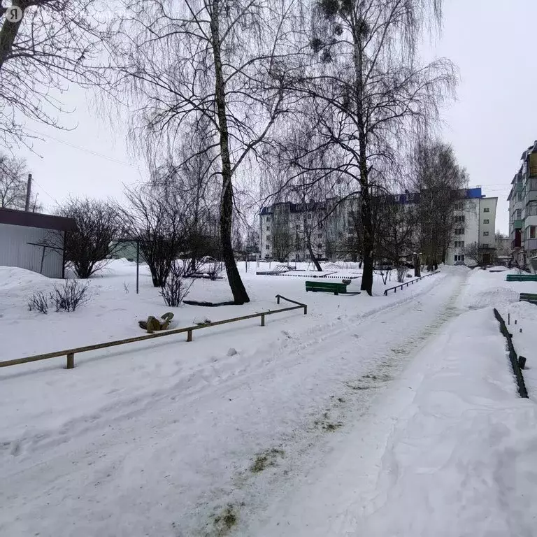 2-комнатная квартира: Брянская область, рабочий посёлок Навля, улица ... - Фото 2