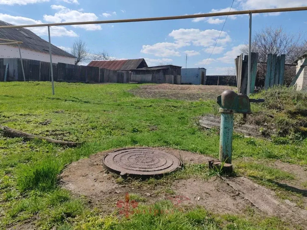 Участок в Белгородская область, Ивнянский район, с. Новенькое ул. ... - Фото 2