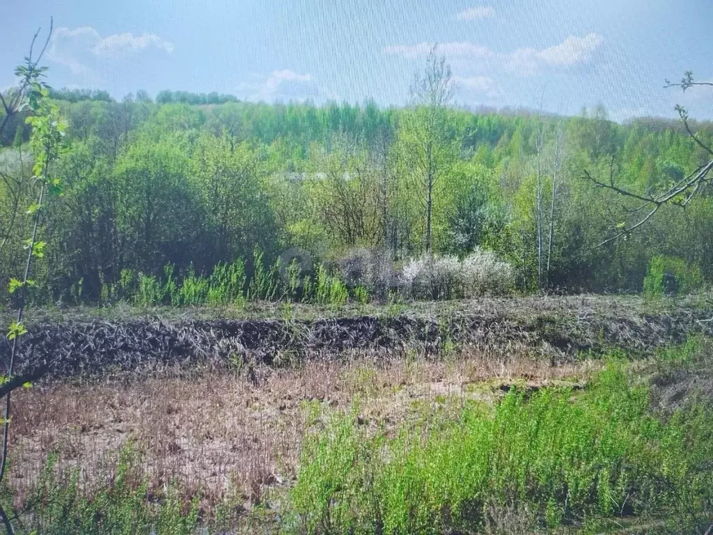 Участок в Мордовия, Саранск Заря СТ,  (4.0 сот.) - Фото 1