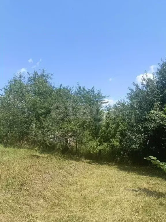 Дом в Курская область, Курский район, Пашковский сельсовет, ... - Фото 1