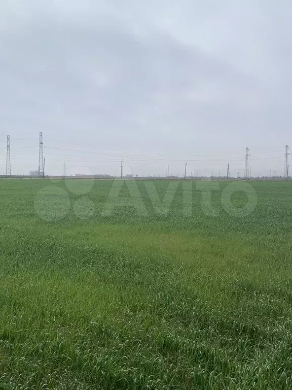Участок 70 сот. (СНТ, ДНП) - Фото 1