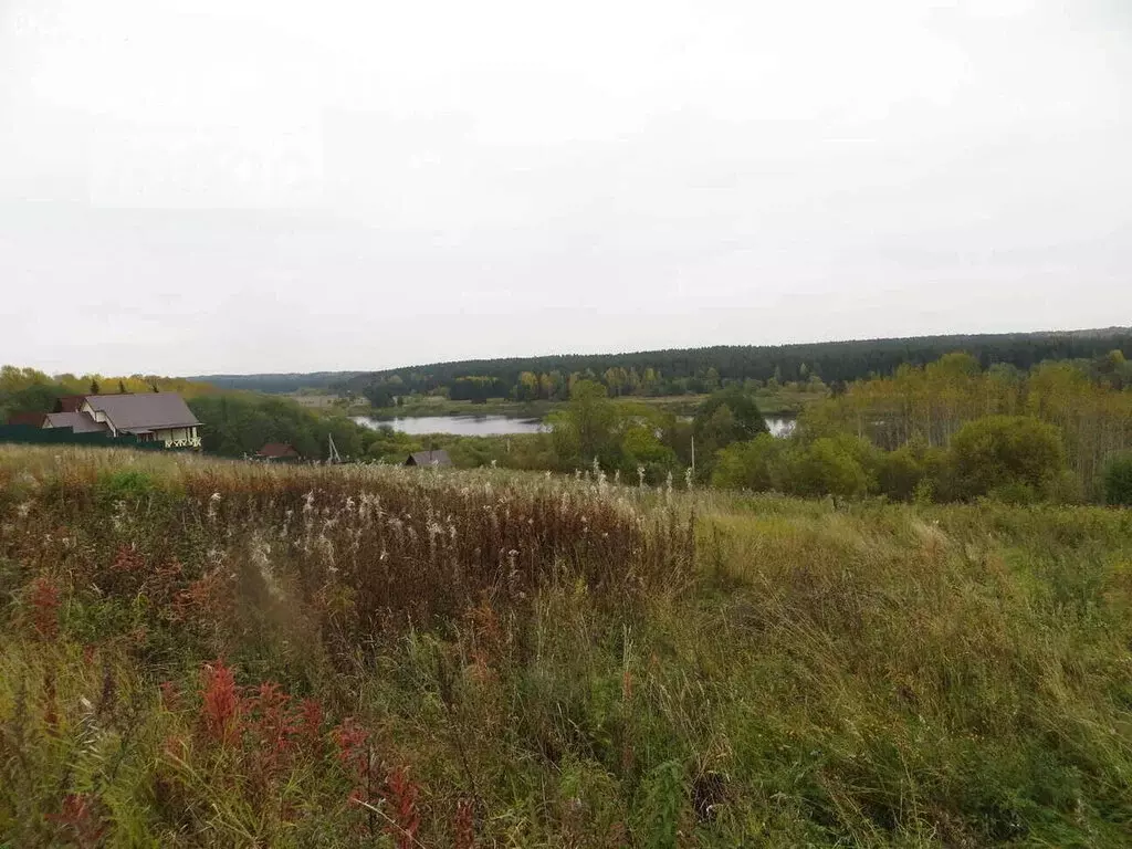 Участок в Вологодская область, Усть-Кубинский муниципальный округ, ... - Фото 2